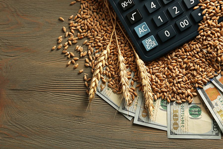 calculator on top of wheat and one hundred dollar bills