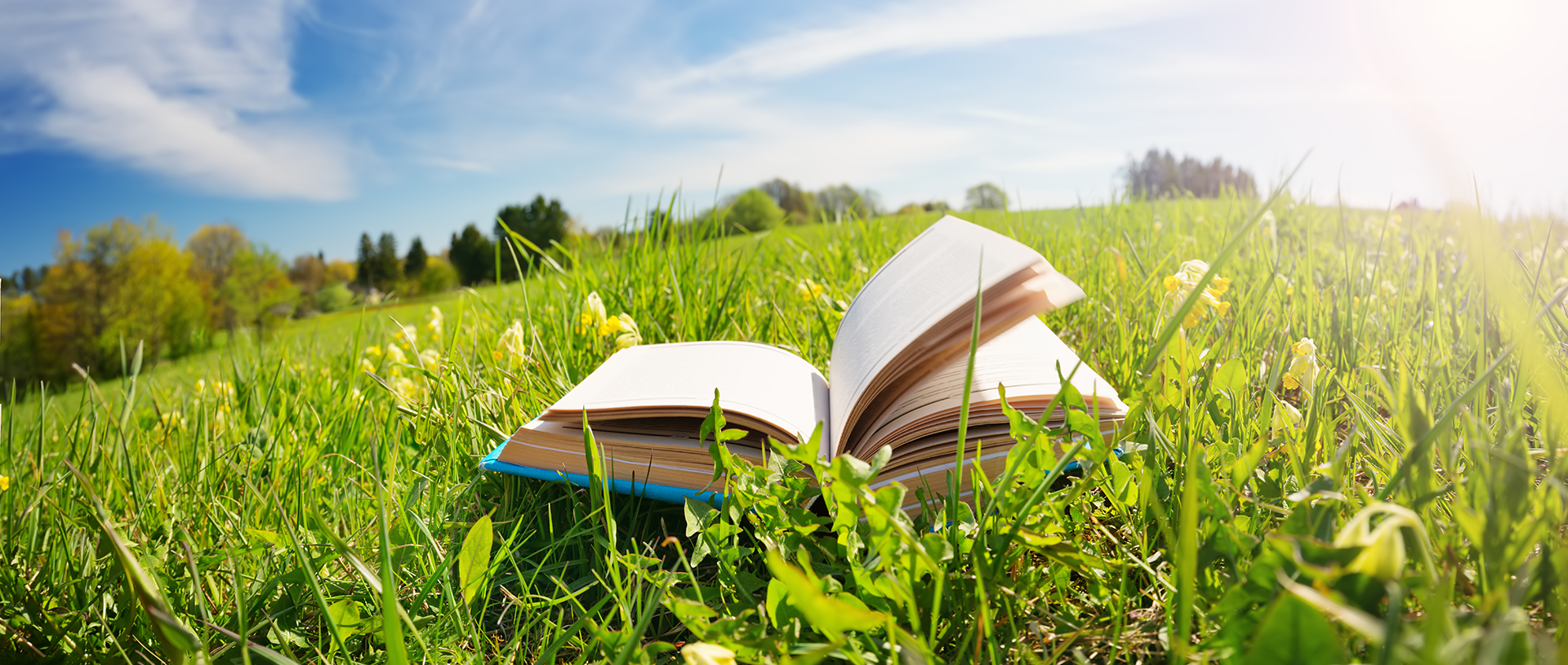 open book in a green field 